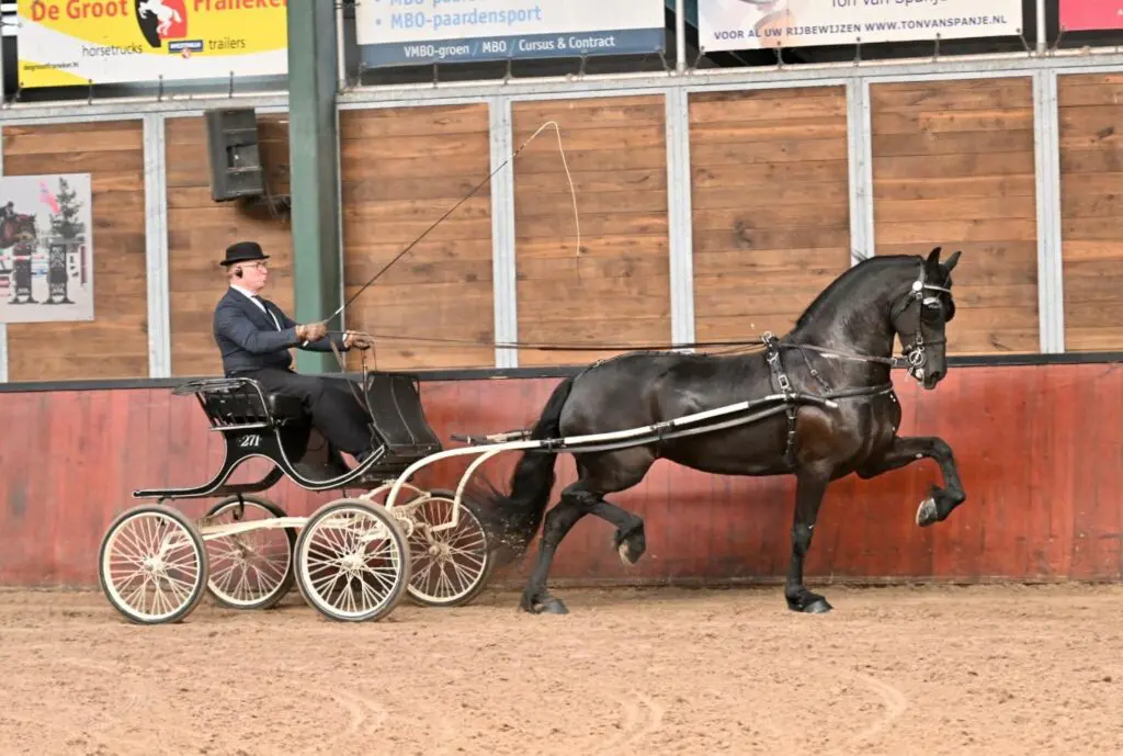 IBOP Wergea: Riemke (Markus 491) Kroon, topscore voor Lobke (Alwin 469) featured image