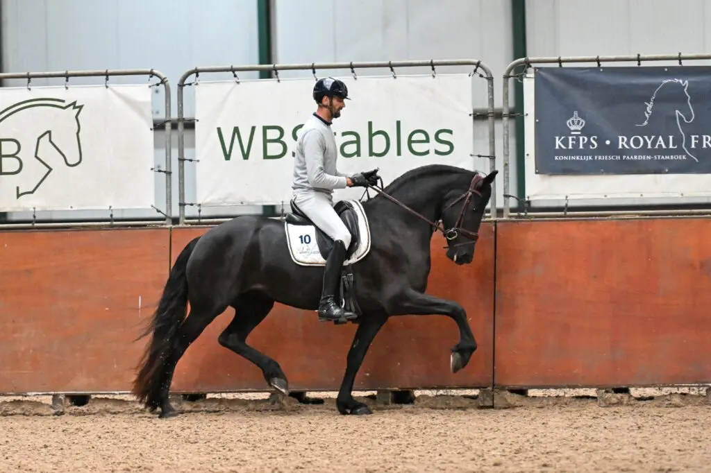 ABFP-test 6: Topscore voor Tooske (Teun 505), drie Kroonmerries en driemaal AAA featured image