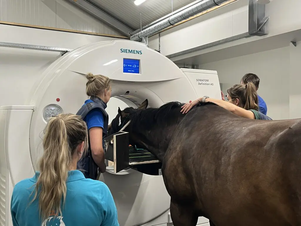 Paardenkliniek Hollands Kroon
