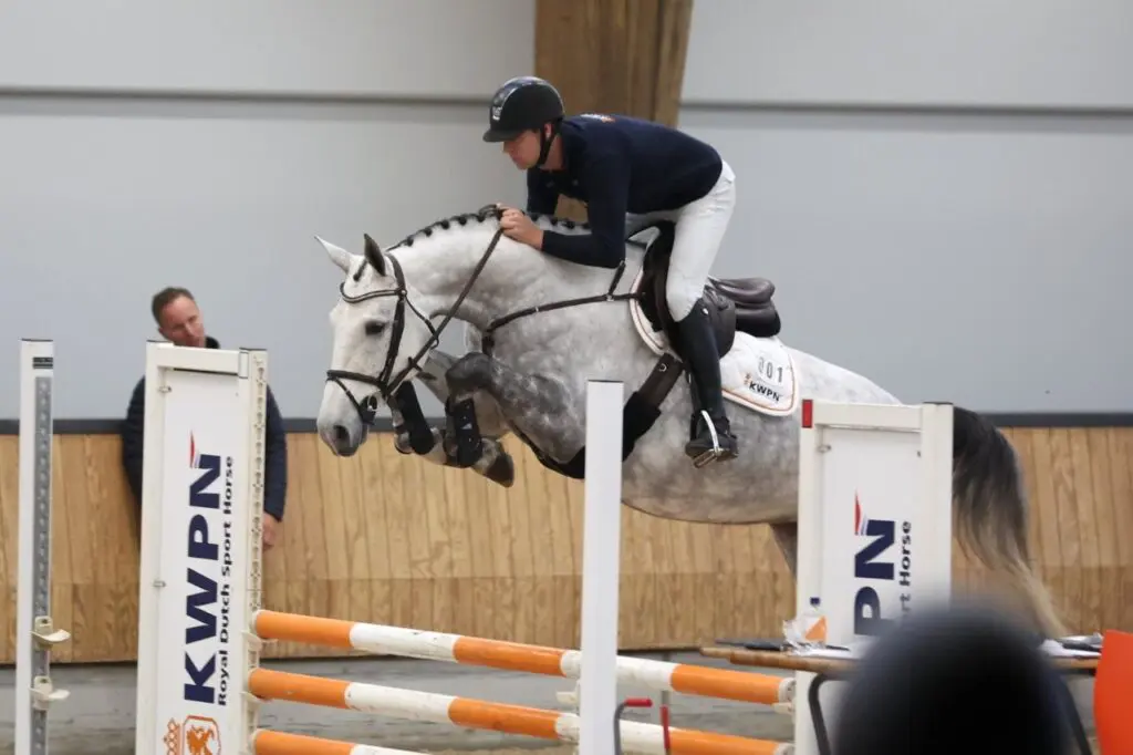 EPTM: 83,5 punten voor dochters van Livius, Zirocco Blue VDL en Lambada Shake AG featured image