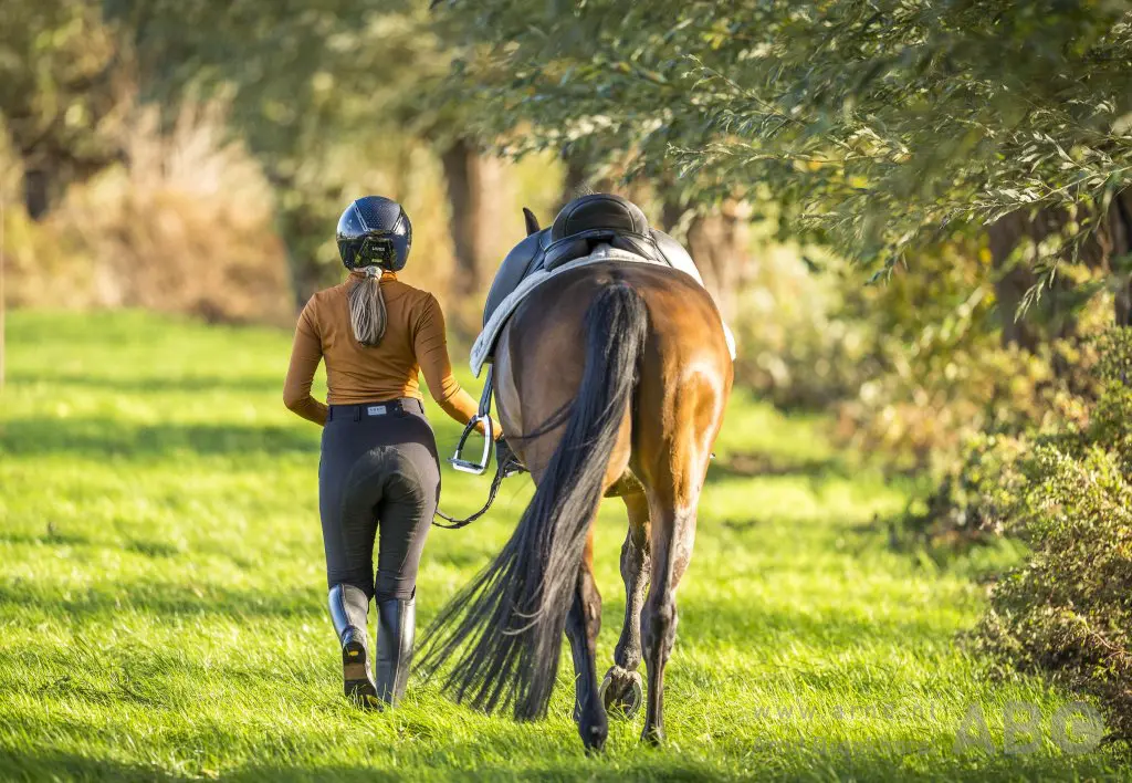 Quiz: Wat weet jij van zadels? featured image