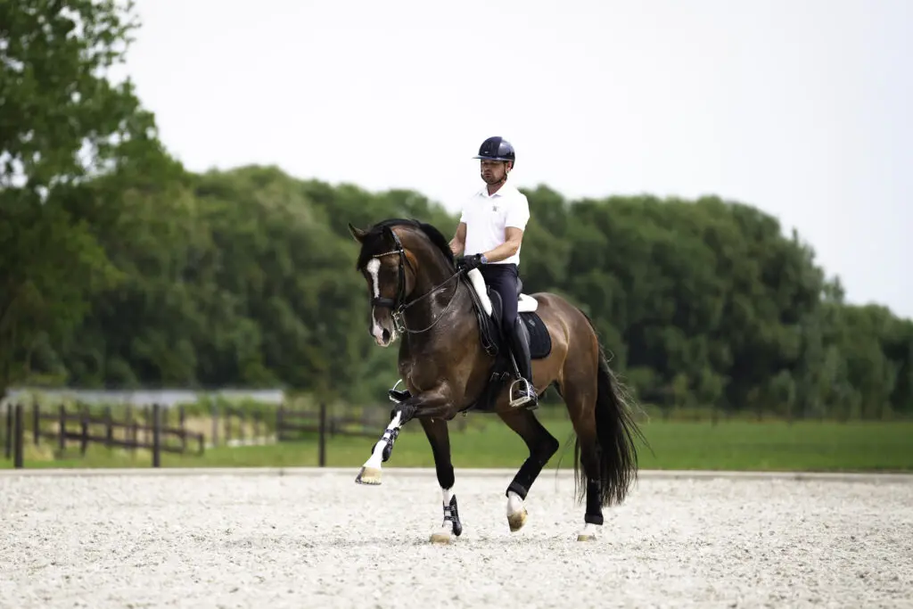 Gregor Tacx en Invictus maken succesvol debuut: ‘Hij is echt een Ferrari’ featured image