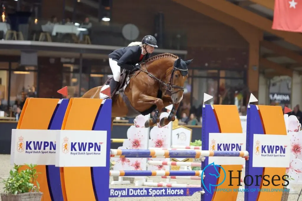 HC IJsselmuiden: acht hengsten dubbel foutloos in 1,10 featured image