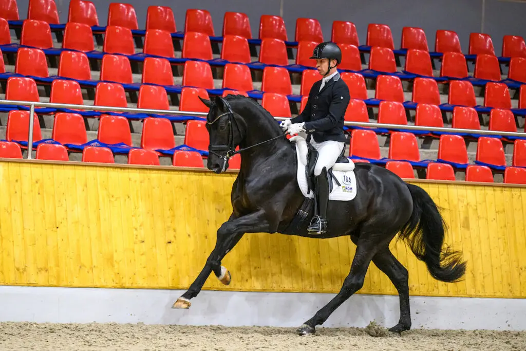 Halve finalisten Subli Competitie bekend featured image