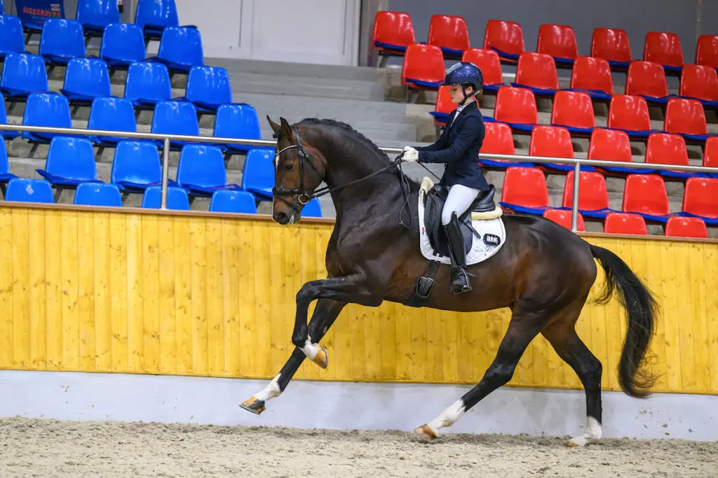 Daxx en Pino voeren sterke kopgroepen aan in Subli Competitie Berkel Enschot featured image