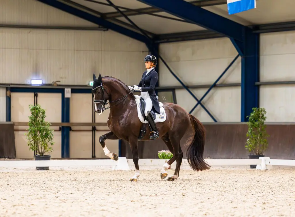 Alle Subtopuitslagen op rij: week 44 featured image