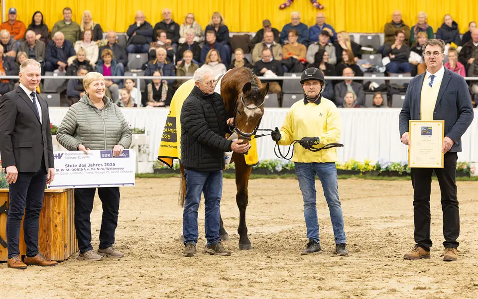 De Niro-dochter Dorina is Hannoveraanse Merrie van het Jaar featured image