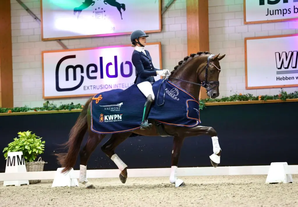 Krachtpatser Red Viper naar 92,2 punten in klasse Z, Obession Taonga volgt met 90,8 punten featured image