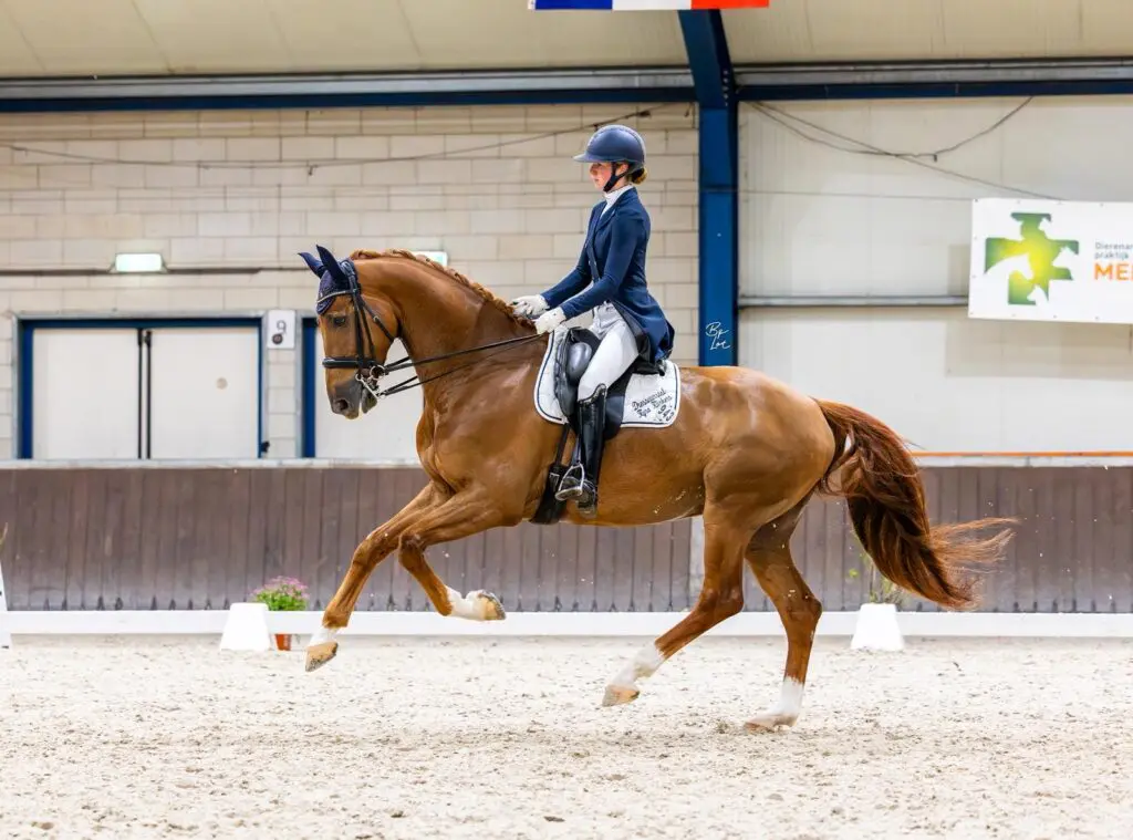 Kyra Klinkers wint Inter II en PSG met eigengefokte halfbroers: ‘Met deze twee kan ik weer vooruit’ featured image