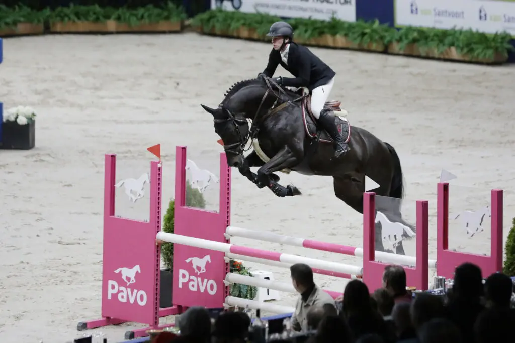 Goedgekeurde hengst Oerend Hard HBC zet carrière voort in Amerika featured image