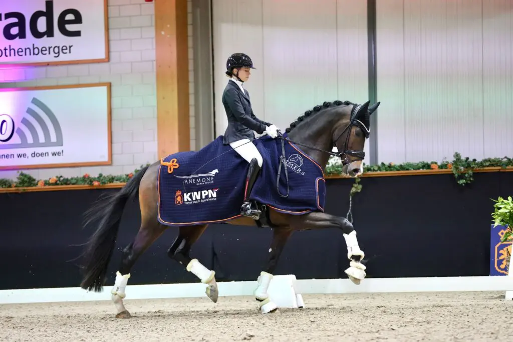 Nipt verschil in klasse L: stalgenoten Real Dream en Renzo bovenaan featured image