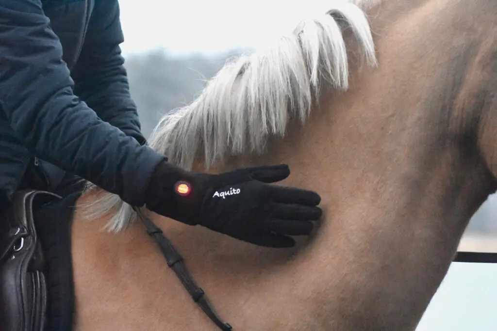 De Aquito verwarmde rijhandschoenen: het ultieme winteraccessoire! featured image
