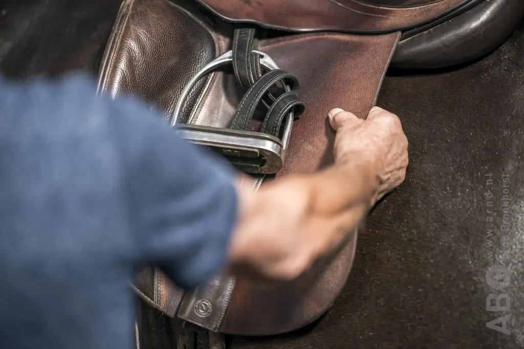 Zo gaat je zadel lang mee – 5 adviezen featured image