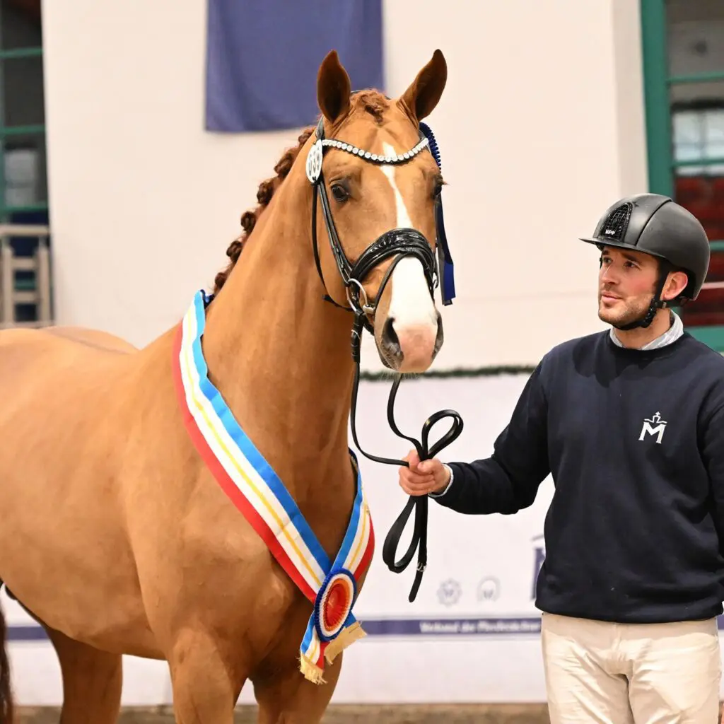 HK Mecklenburg: 130.000 euro voor Total Diamond PS-reservekampioen featured image