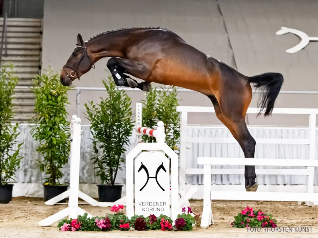 In Verden vallen beste springers buiten de boot featured image