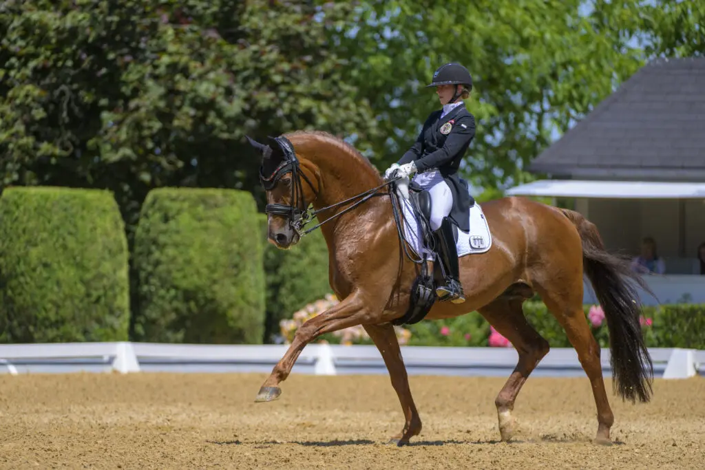 Oostenrijkse jeugdsterren Sanibel en Bodyguard uit de sport featured image