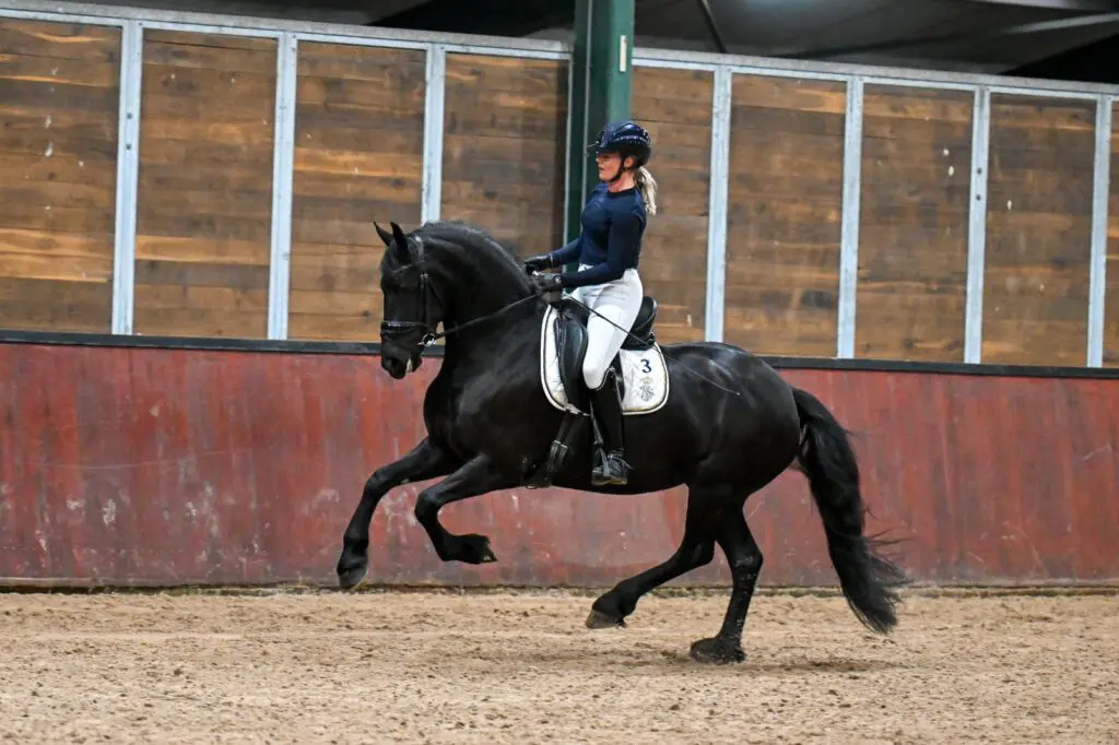 ABFP: Kroon en AAA score voor Vrouwkje featured image