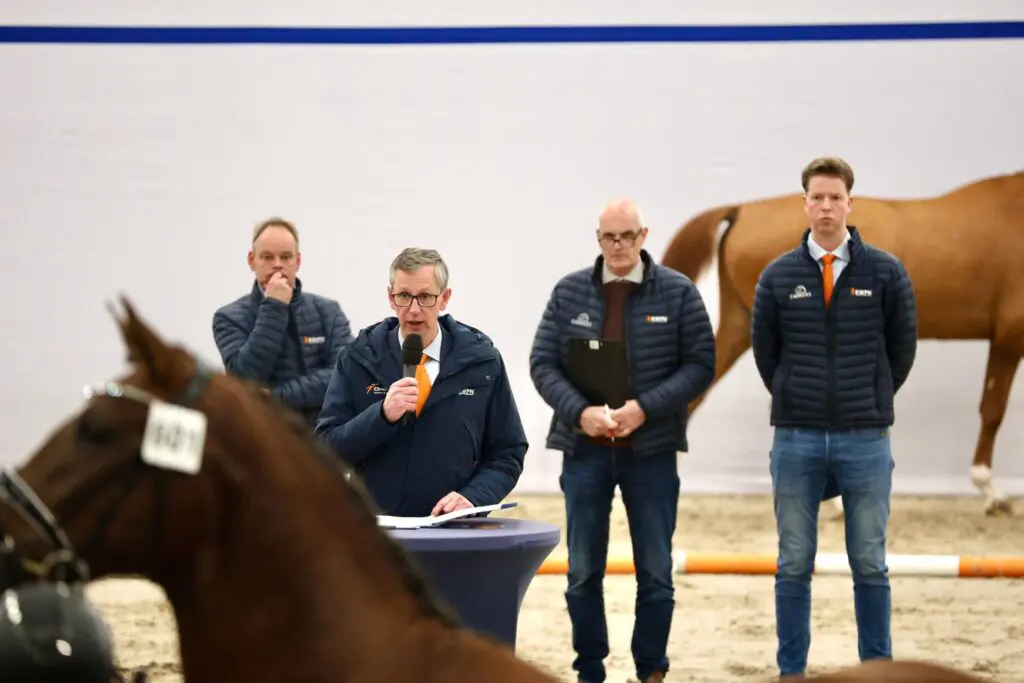 Grand Prix-hengst Deifeldt’s King van de Landhorst erkend voor Gelderse fokkerij featured image