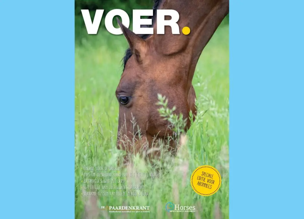 Nieuwe editie VOER. nu te bestellen! (Leuk als kerstcadeau) featured image