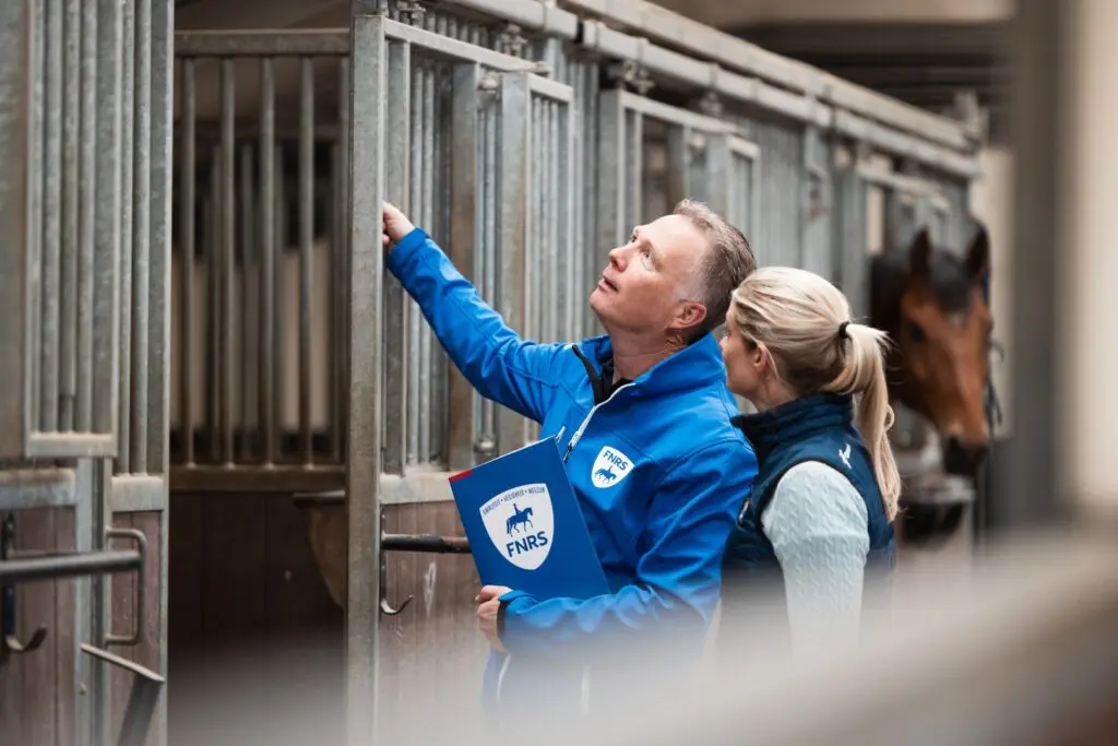 Paardenwelzijn verbeteren zonder groot kapitaal featured image