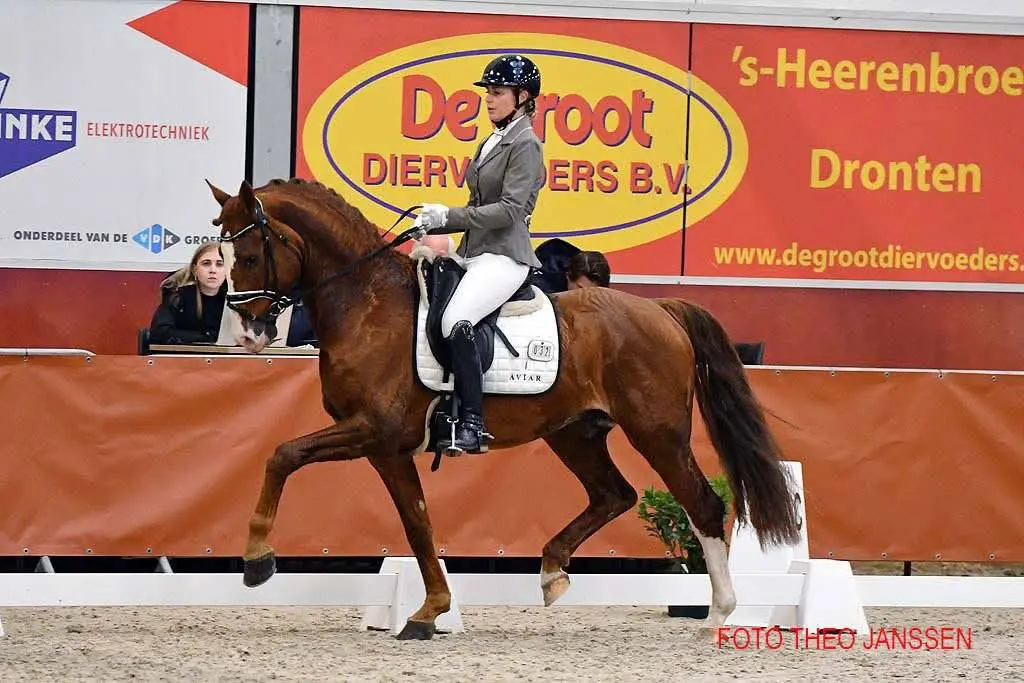 Succesvol Subtop-debuut voor Anouk Noordman en Odeer featured image