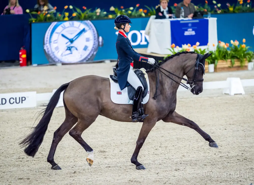 Charlotte Dujardins Alive and Kicking verkocht aan Kristy en Rosalind Oatley featured image