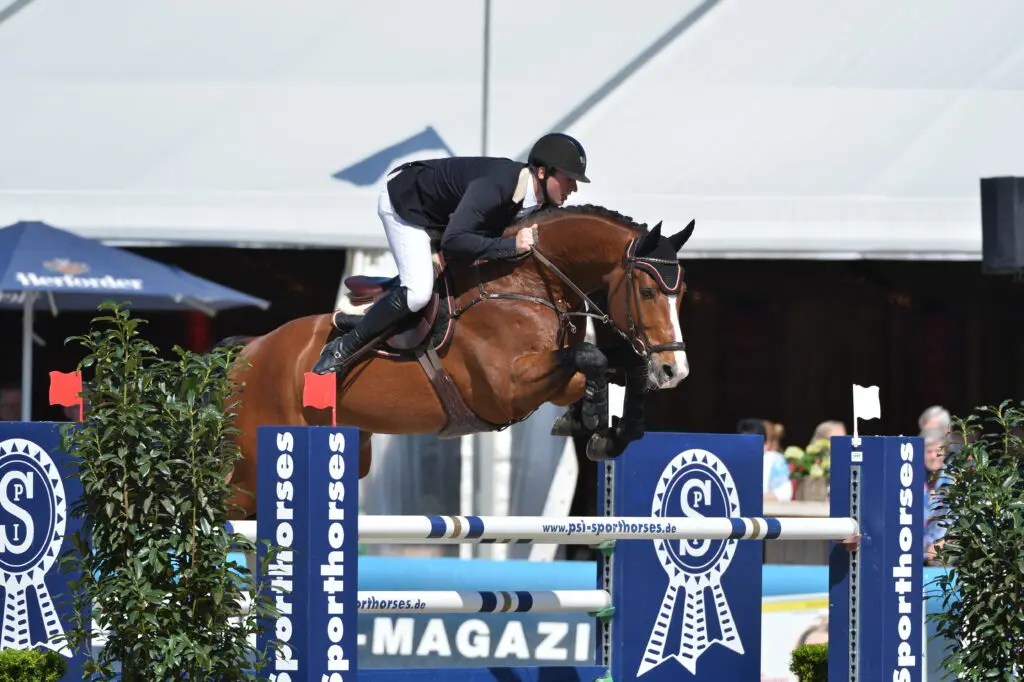 Holsteiner-hengst Casiro I overleden featured image