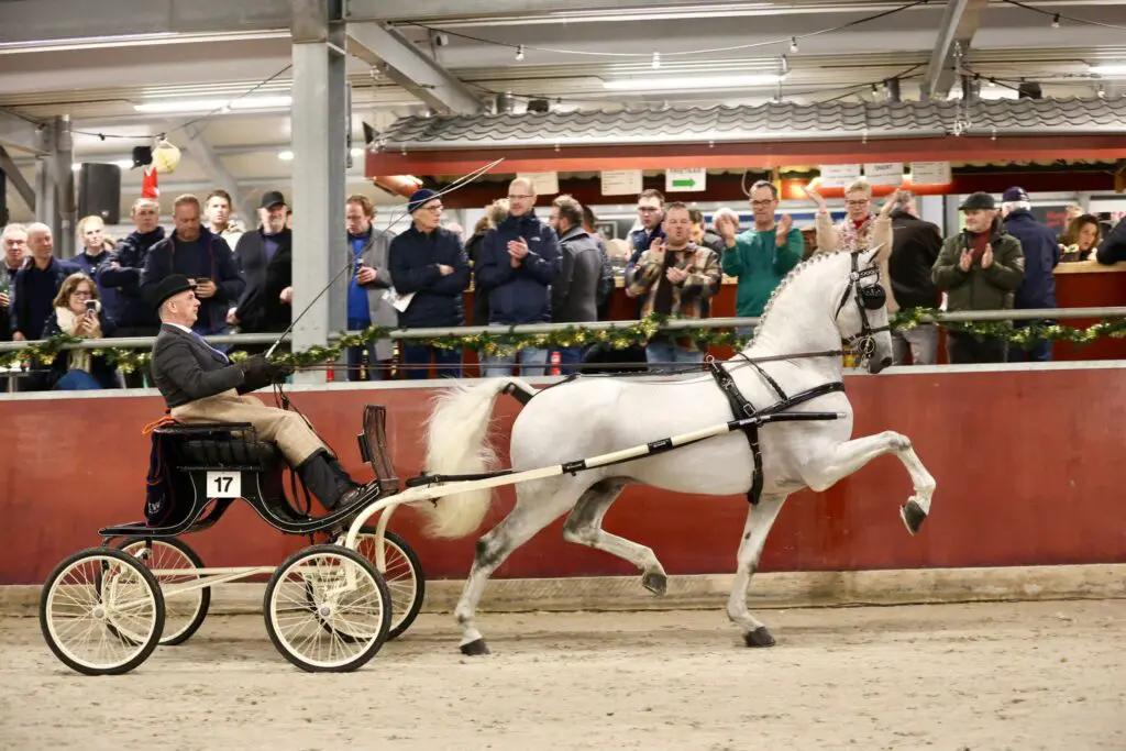 HK TP: Magnifiek wint eerste Publieksprijs featured image