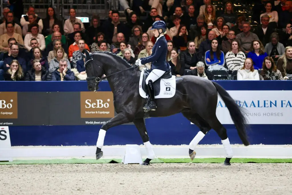 Renzo pakt eindzege in klasse L, stalgenoot Real Dream volgt op de hielen featured image