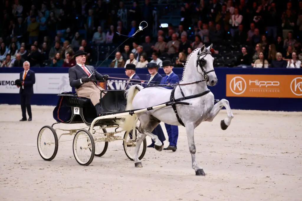 Magnifiek wint vierde Oregon Trofee, publiek kiest voor Olympus JB featured image