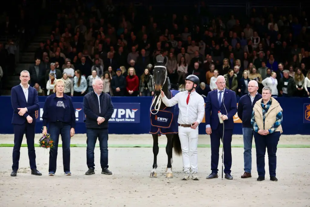 HK KWPN 2026: Zes tuigpaardhengsten aangewezen, Magnifiek-zoon Talent kampioen featured image