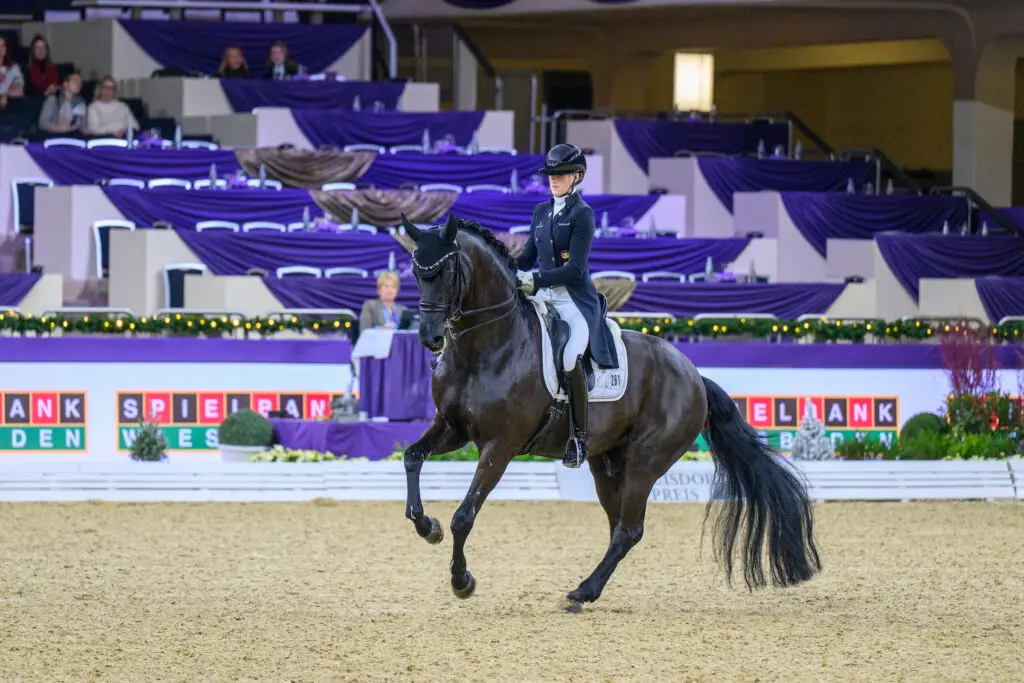 Lord Europe, Daniela, Slaide en Special Gold PCH vooraan in Grand Prix-proeven Münster featured image