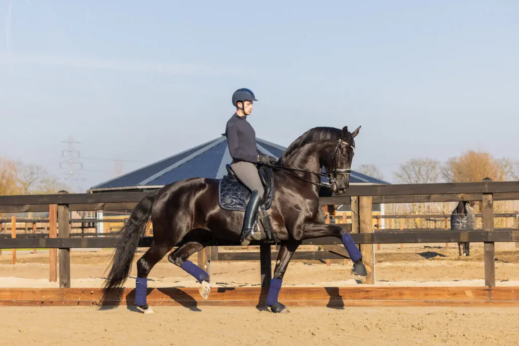 Alle Subtopuitslagen op rij: week 3 featured image