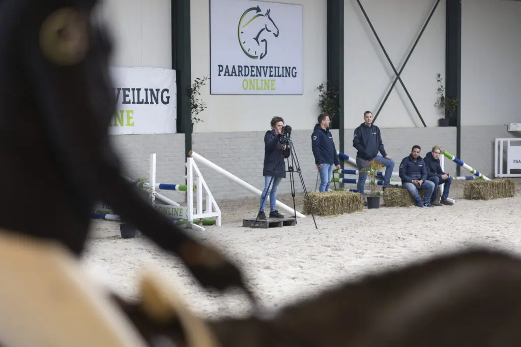 Paardenveilingonline kondigt veilingkalender 2026 aan featured image