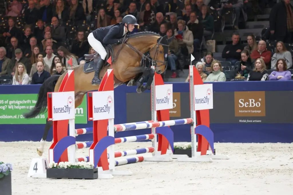 In Beeld: presentatie springhengsten goedgekeurd in 2025 featured image