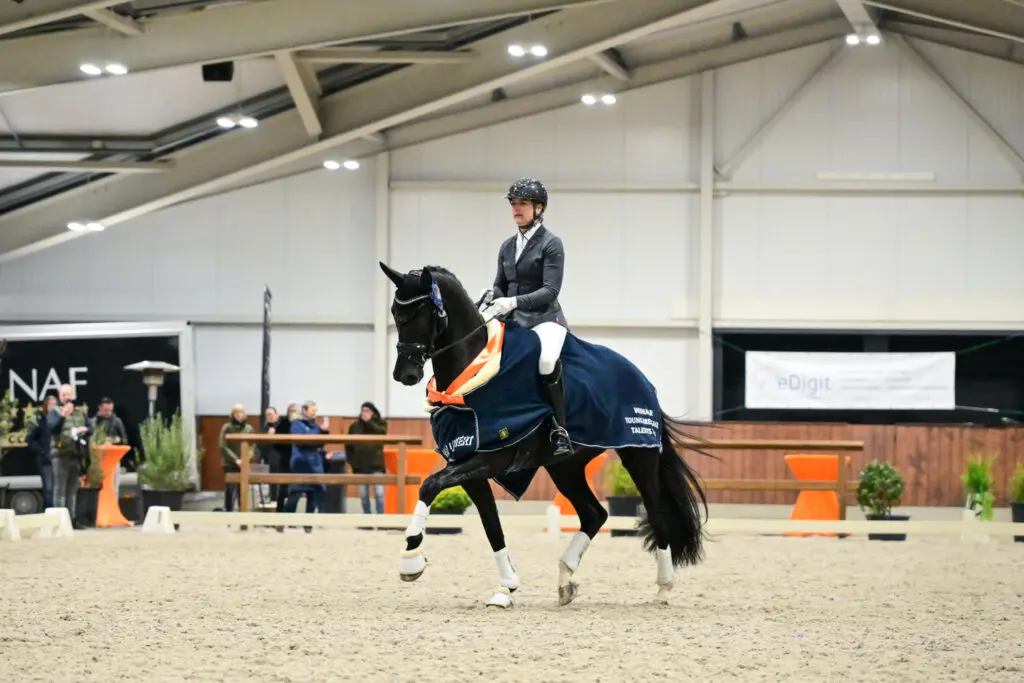Jaguar US, Royal Esther SVN en Son of Zalome winnen KWPN Young Dressage Talents featured image