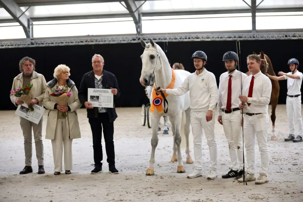 HK Tuigpaard: Idol keur verklaard featured image
