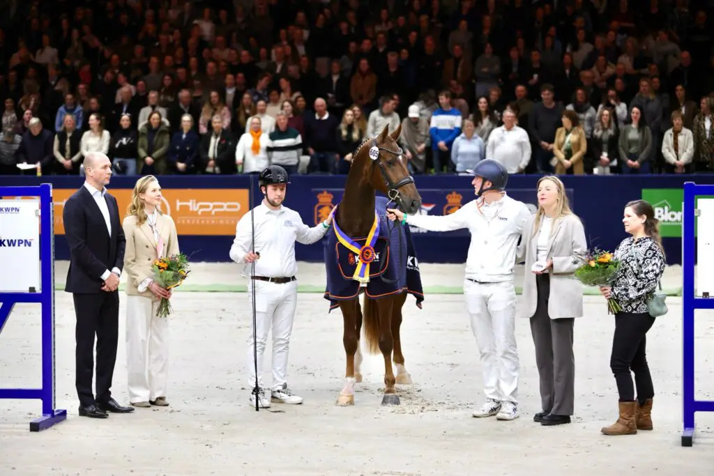 HK KWPN 2026: Vier Geldersen aangewezen, Ojee B-zoon kampioen featured image