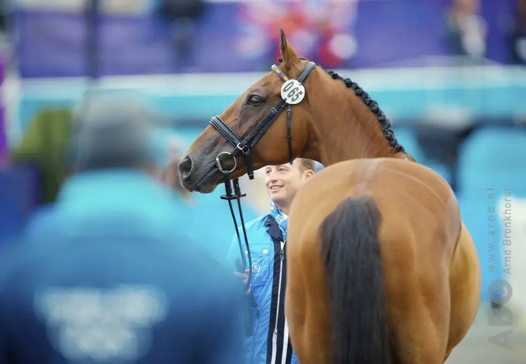 Michael Jungs legendarische Sam (26) overleden featured image