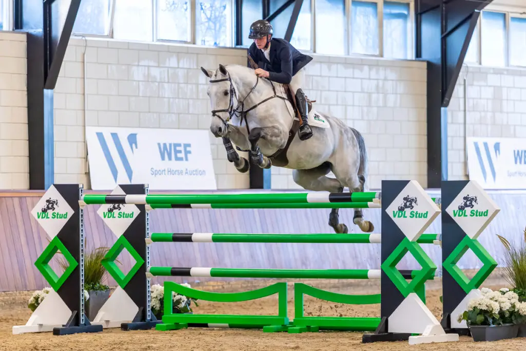 WEF Sporthorse Auction: 500.000 dollar voor NMK-reservekampioene featured image