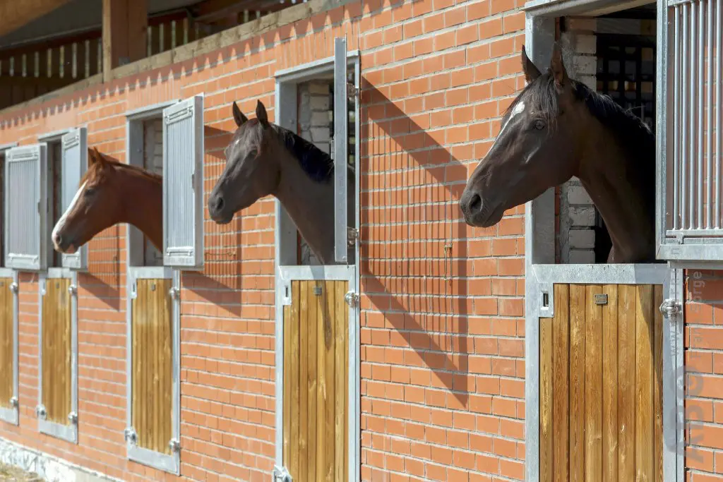 FNRS: Stap voor stap naar ruimere boxen featured image