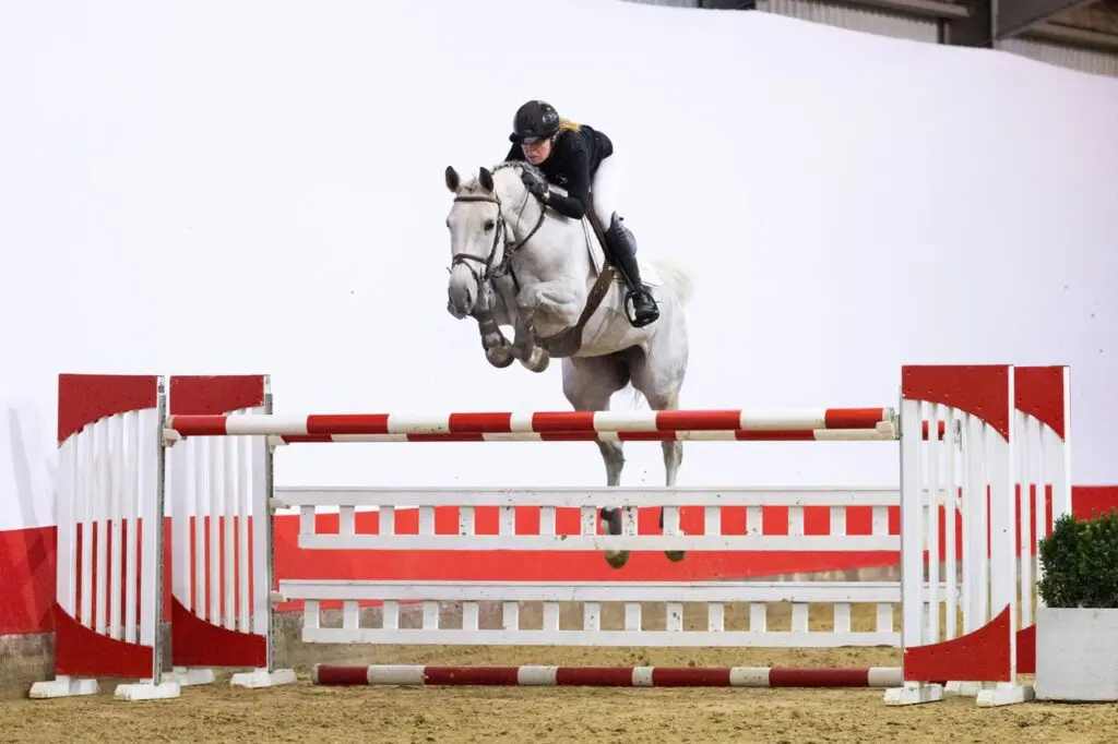 Cupido schiet raak bij Youhorse.auction: twee Valentijnstoppers van 60.000 euro featured image