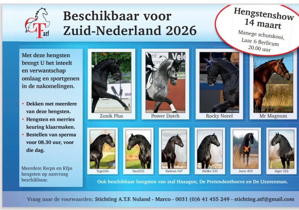 Hengstenshow ATF op 14 maart in Manege de Schutskooi in Berlicum featured image