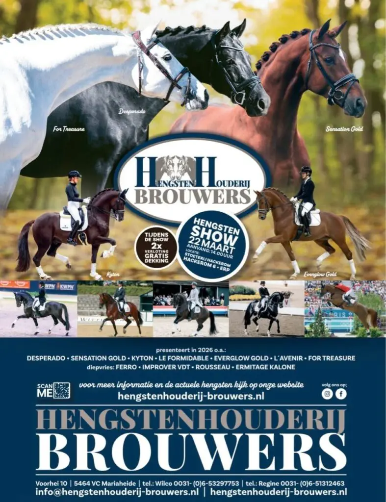 Hengstenshow Hengstenhouderij Brouwers op zondag 22 maart in Erp featured image