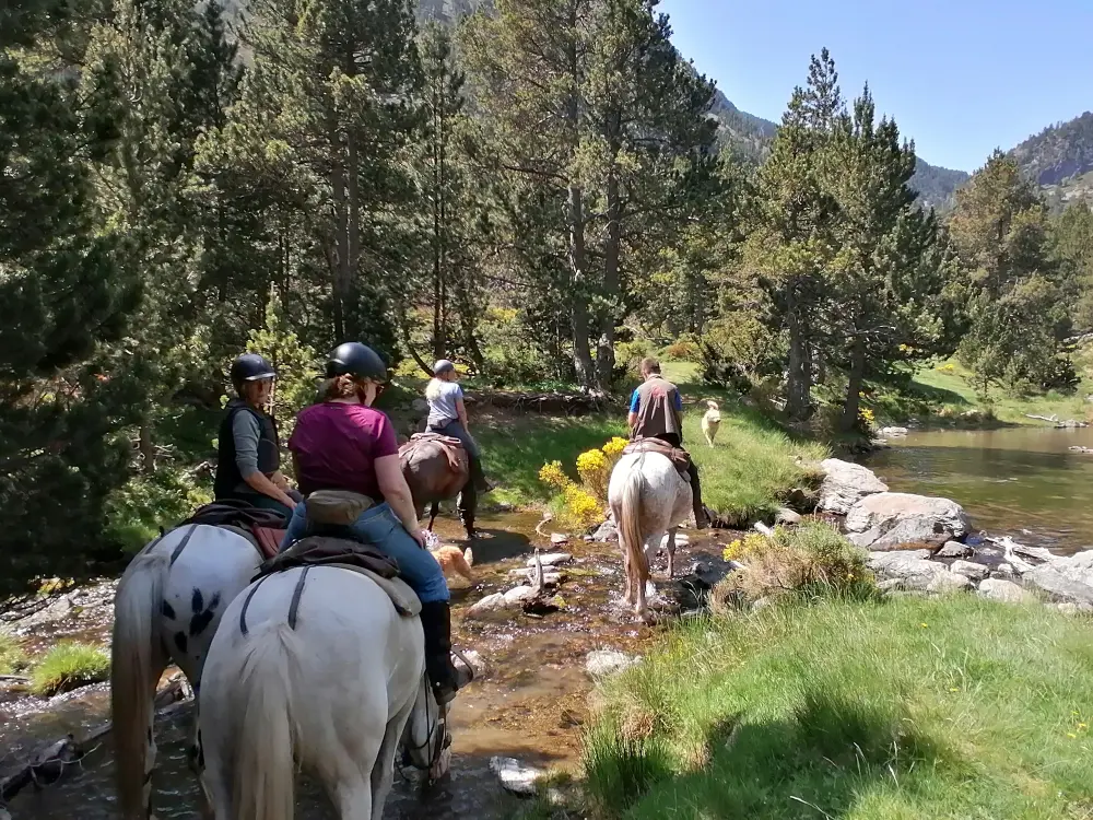 Avontuur te paard in de Pyreneeën featured image