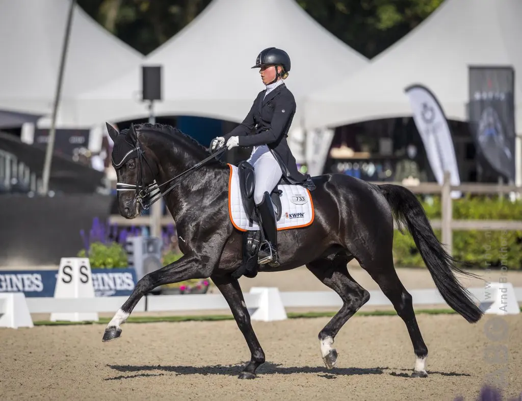 Majestic Taonga verdient ticket voor Louisdor finale featured image