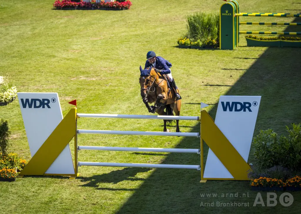 Deussers’ Gangster v/h Noddevelt terug naar eigenaar featured image