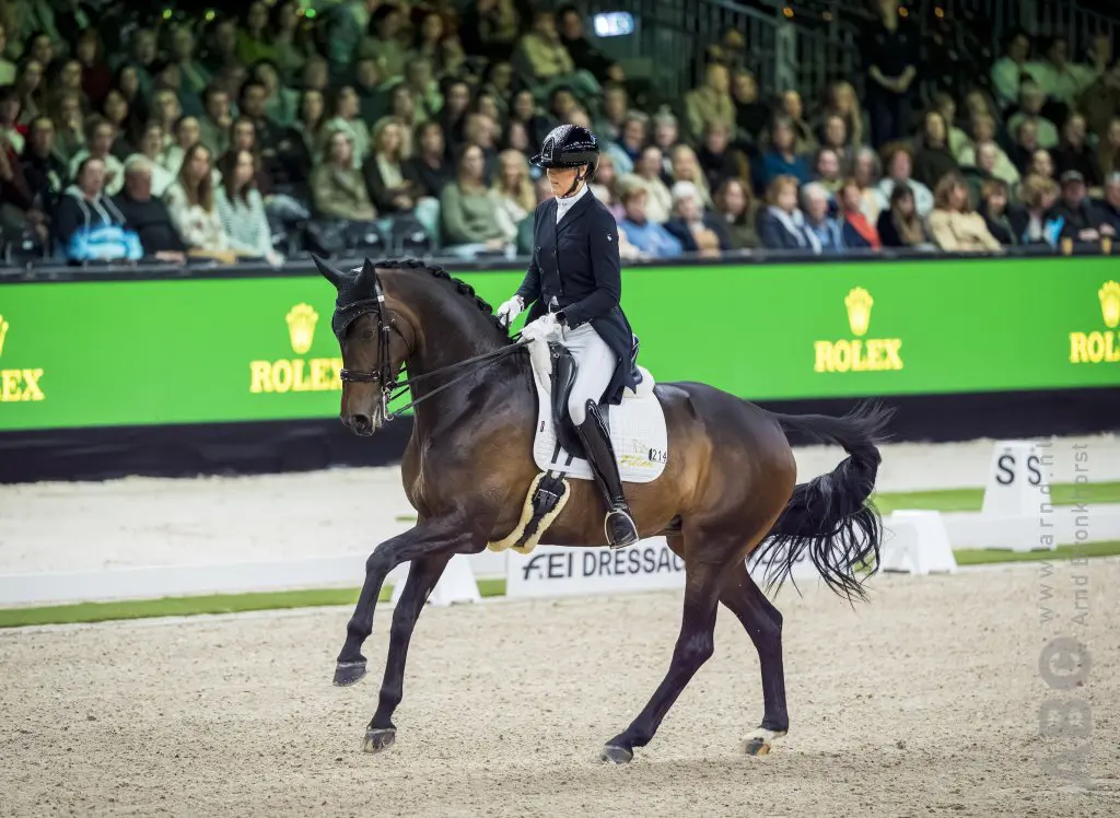 Filion en Kha Diva Corieta Texel naar kürwinst in Fontainebleau featured image