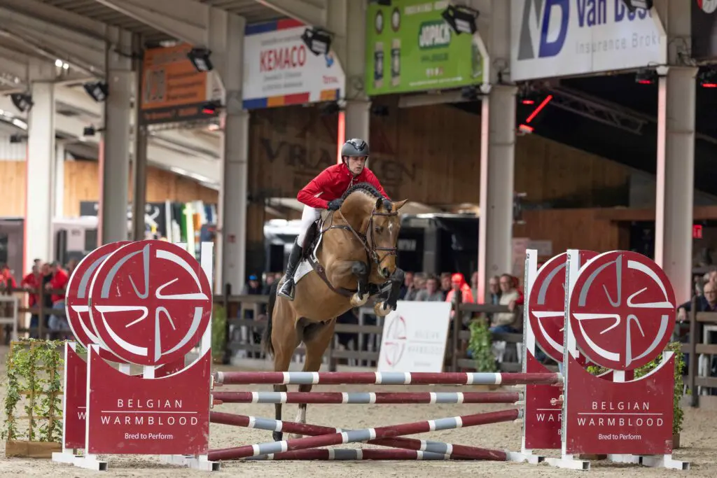 Van de Heffinck presenteert talentvolle hengsten voor 2026 featured image