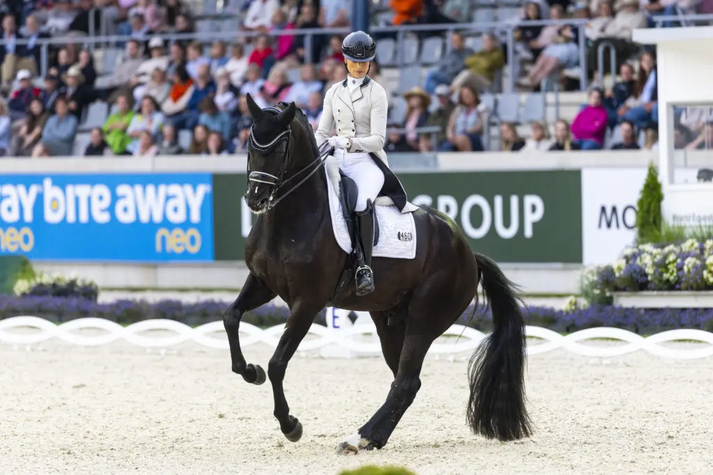 Zondag 19 april hengstenshow Reesink Stallions in Eibergen featured image